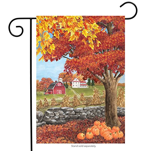 Briarwood Lane Autumn Day Fall Garden Flag