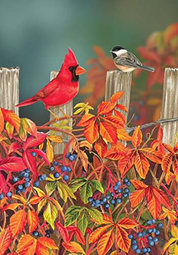 Custom Decor Songbird Fence Fall Garden Flag