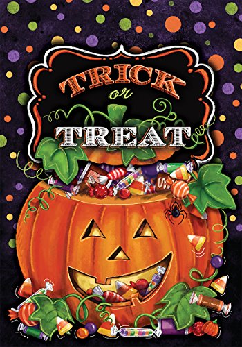 Evergreen Trick or Treat Garden Flag