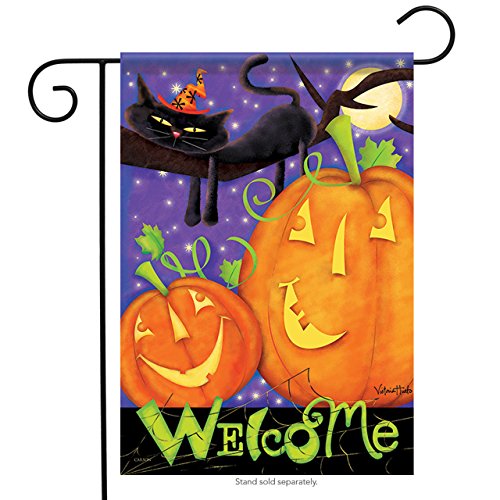 Carson Moonlight Welcome Halloween Garden Flag