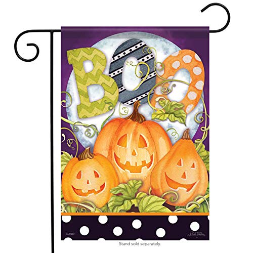 Carson Boo Moon Halloween Garden Flag