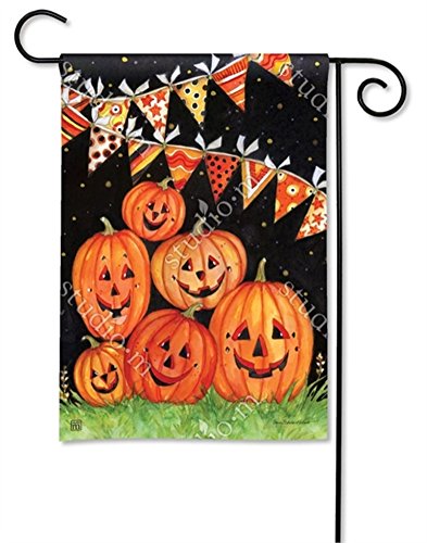 Magnet Works Party Time Pumpkins Halloween Garden Flag