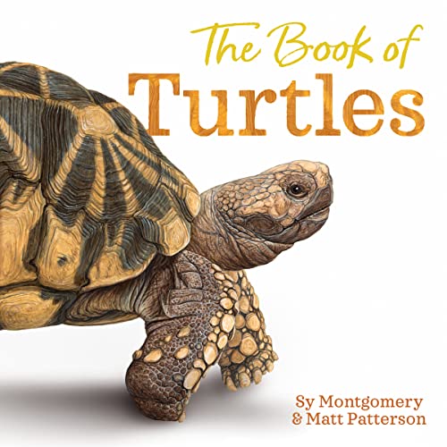 Sy Montgomery The Book Of Turtles 