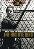 Fugitive Kind Brando Woodward Stapleton Bw Nr 