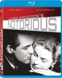 Notorious Grant Bergman Blu Ray Ws Nr 