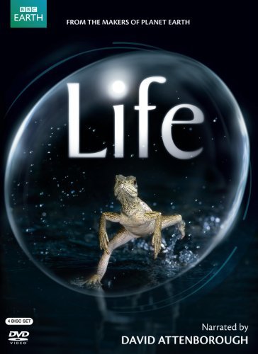 Life (Uk Version)/Life (Uk Version)@Ws@Nr/4 Dvd