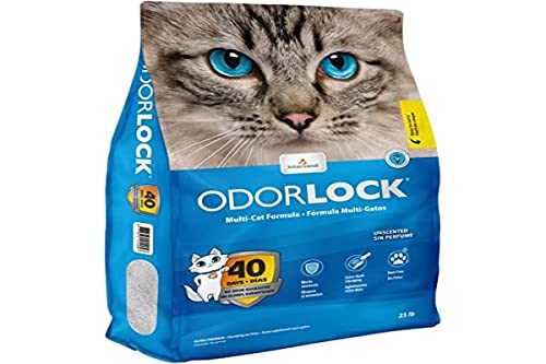 Intersand Odorlock Unscented Cat Litter