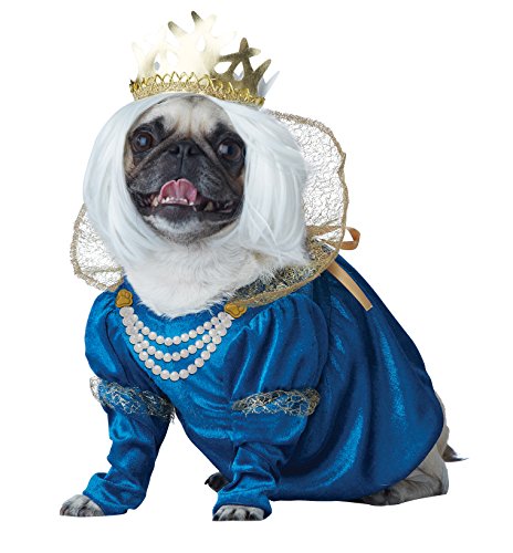Halloween Dog Costume-Queen of Bones