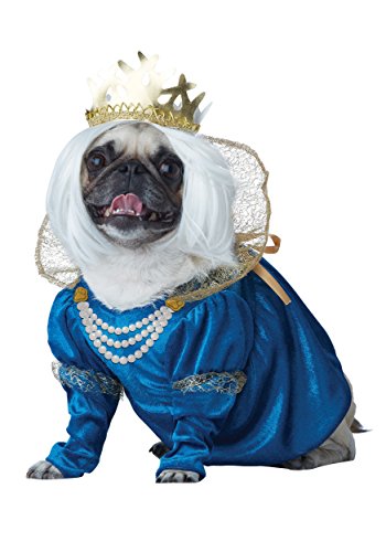 Halloween Dog Costume-Queen of Bones