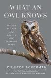 Jennifer Ackerman What An Owl Knows The New Science Of The World's Most Enigmatic Bir 