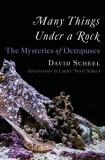 David Scheel Many Things Under A Rock The Mysteries Of Octopuses 