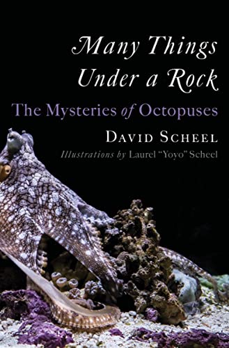 David Scheel Many Things Under A Rock The Mysteries Of Octopuses 