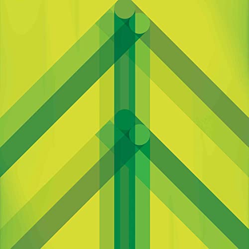 El Ten Eleven/Every Direction Is North (Green Vinyl)@Amped Exclusive