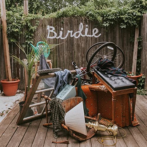 dog Slaughter Beach/Birdie@Olive Green Vinyl