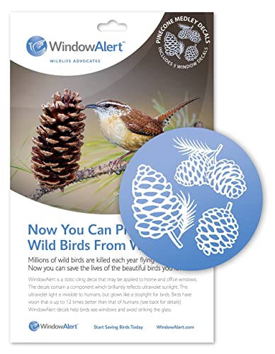 Window Alert Pinecone Medley Decal Envelope-5 Decals