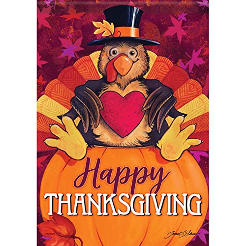 Carson Happy Turkey Thanksgiving Stand Flag