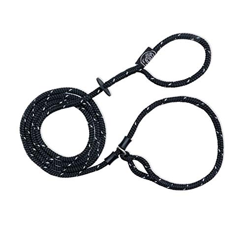 Harness Lead Dog Leash & Harness - Black