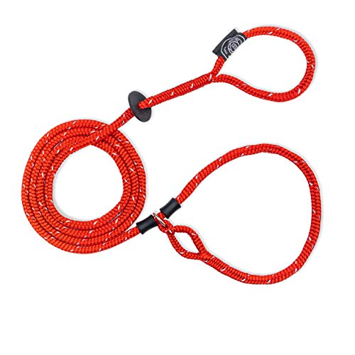 - Dog Leash & Harness - Red