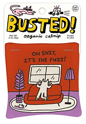 Catnip Toy/It's The Fuzz