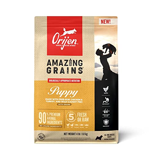 Orijen Amazing Grains Puppy Dry Dog Food