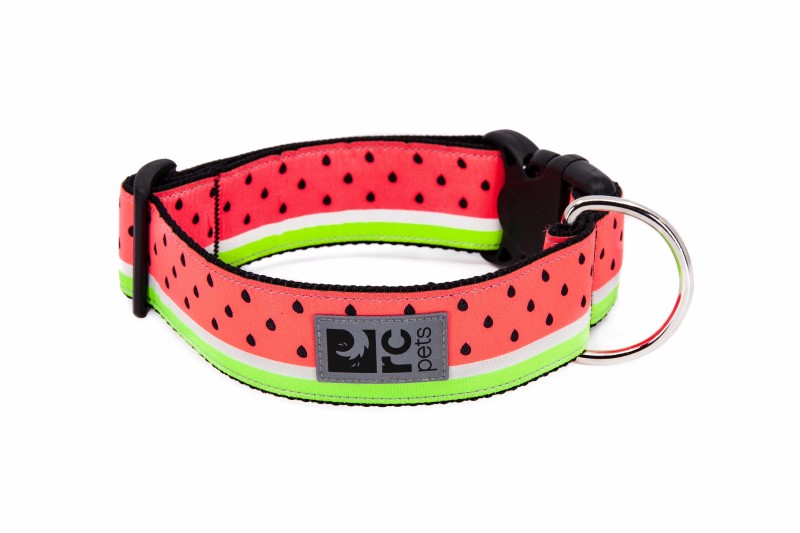 RC Pets Wide Clip Collar - Watermelon