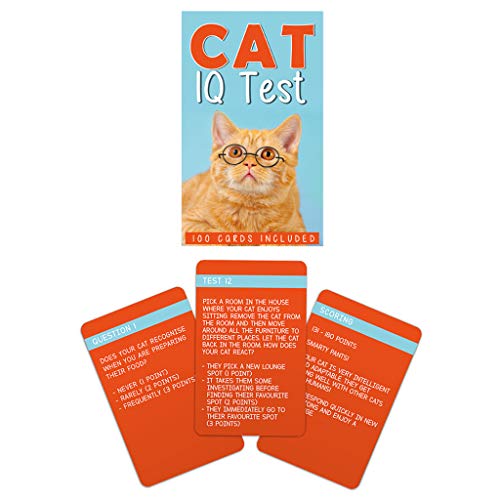 Game/Cat Iq Test