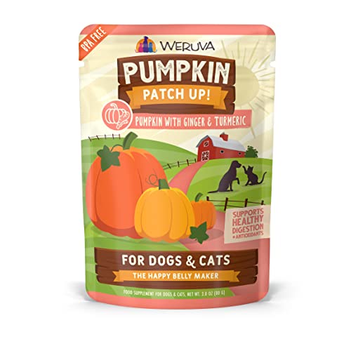 Weruva-Pumpkin Patch Up! Pumpkin with Ginger & Turmeric Supplement Pouch