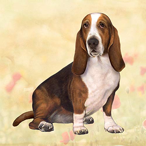 E&S Stone Coaster-Basset Hound