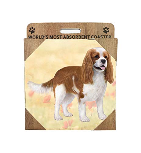 E&S Stone Coaster-Cavalier King Charles