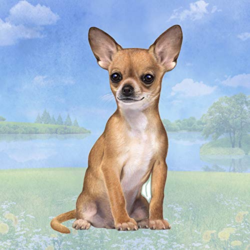 E&S Stone Coaster-Chihuahua Tan