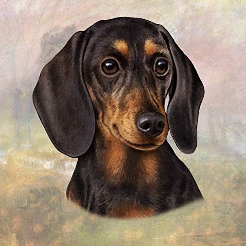 E&S Stone Coaster-Dachshund Black & Tan