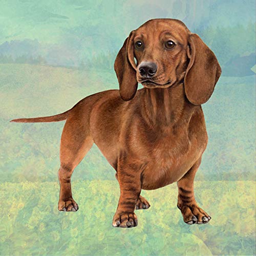 E&S Stone Coaster-Dachshund Red Standing