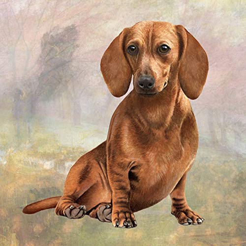 E&S Stone Coaster-Dachshund Red Standing