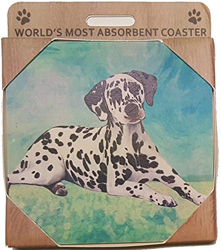 E&S Stone Coaster-Dalmatian