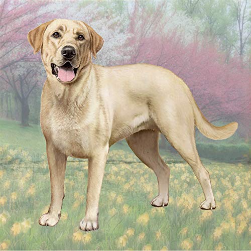 E&S Stone Coaster-Labrador Yellow Standing