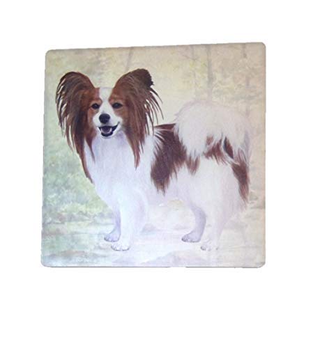 E&S Stone Coaster-Papillon