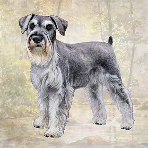 E&S Stone Coaster-Schnauzer Standing