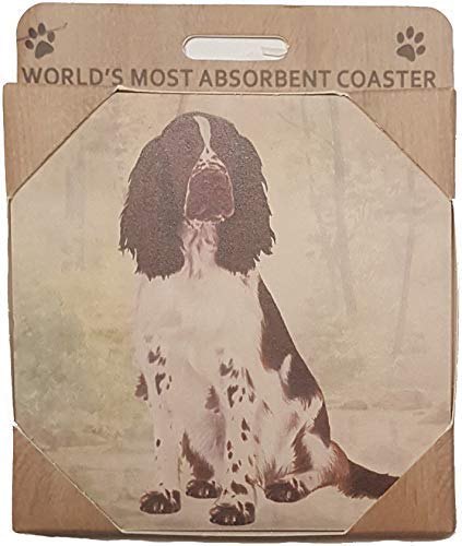 E&S Stone Coaster-Springer Spaniel