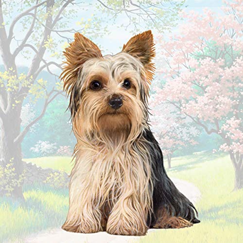 E&S Stone Coaster-Yorkie Puppy Cut