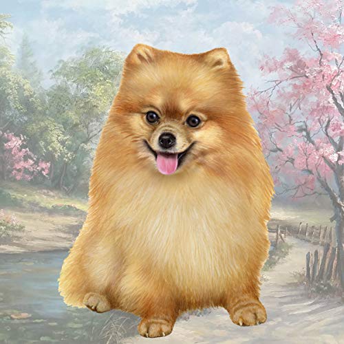 E&S Stone Coaster-Pomeranian