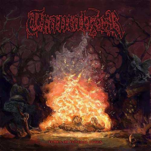Tramalizer/Fumes Of Funeral Pyres (Transparent Red Vinyl)