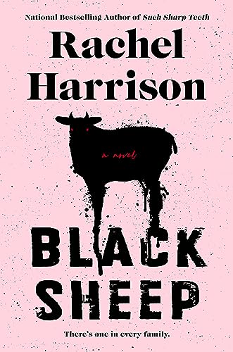 Rachel Harrison Black Sheep 