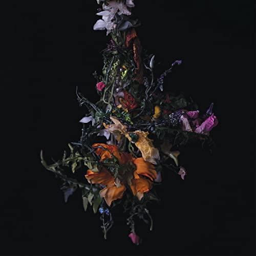 BIG|BRAVE/nature morte