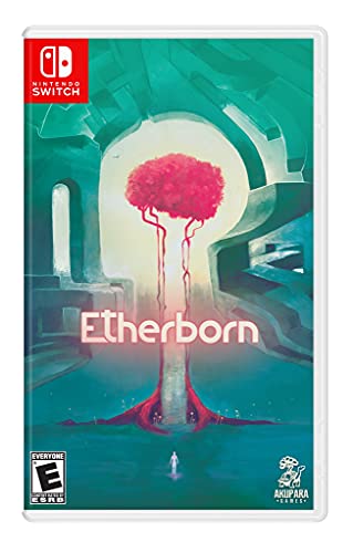 Nintendo Switch/Etherborn