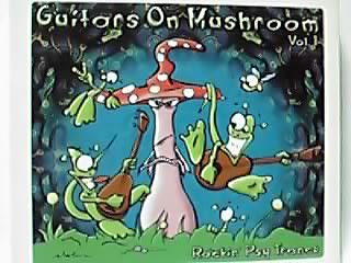 Guitars On Mushroom/Guitars On Mushroom