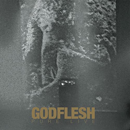 Godflesh/Pure Live@2LP