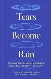 Jeanine Cogan Tears Become Rain Stories Of Transformation And Healing Inspired By 