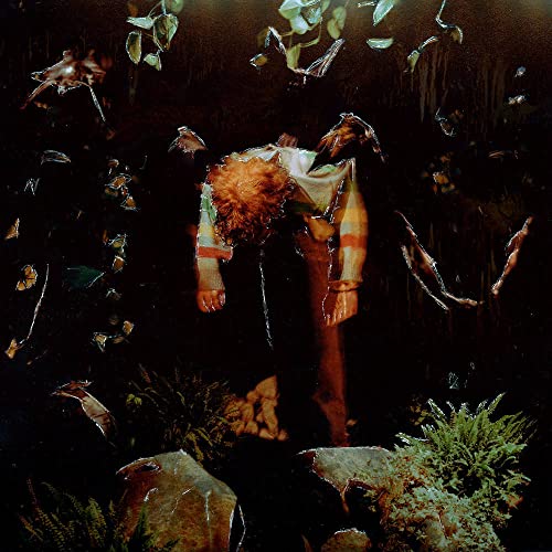 Cavetown/worm food (Evergreen in Milky Clear Color-In-Color Vinyl)