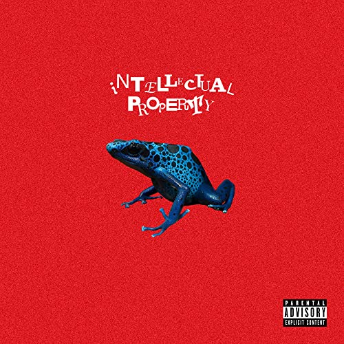 Waterparks/Intellectual Property