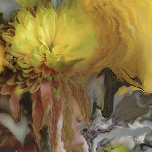 Parker Millsap/Wilderness Within You